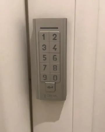 Dell'orso - - Bologna